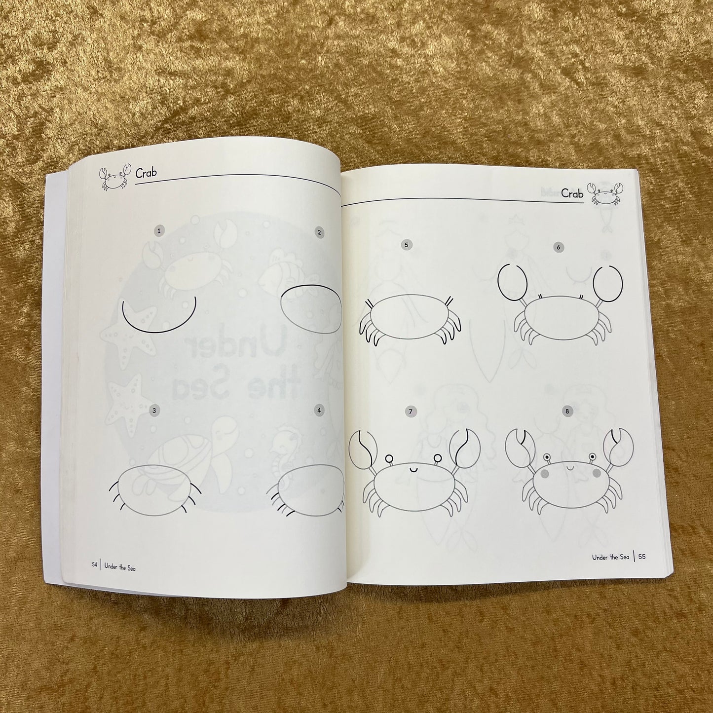 How to Draw book for kids Jacy Corral