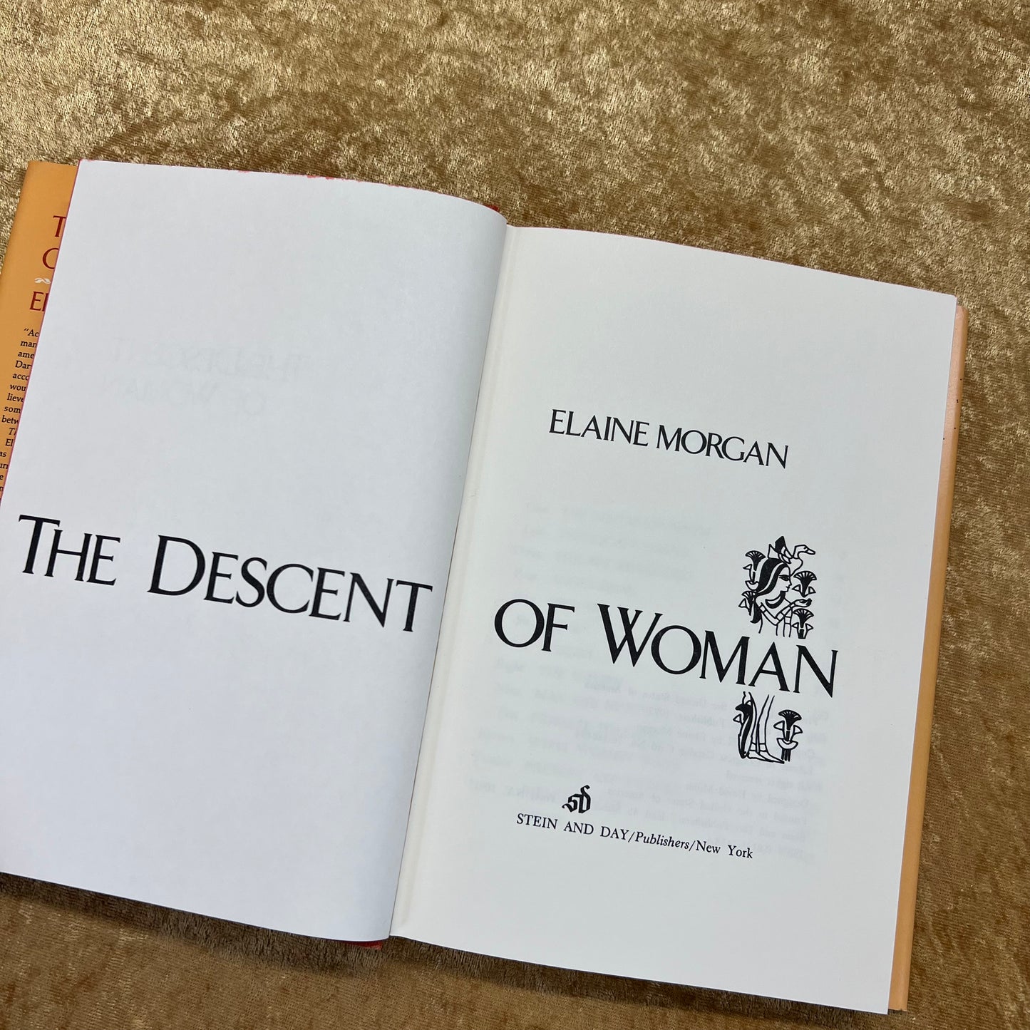 The Descent of a Woman book Elaine Morgan